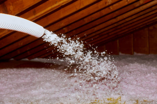 Best Energy Efficiency Solutions in Cohoe, AK