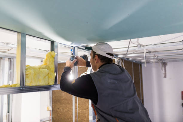 Best Insulation Installation Services in Cohoe, AK