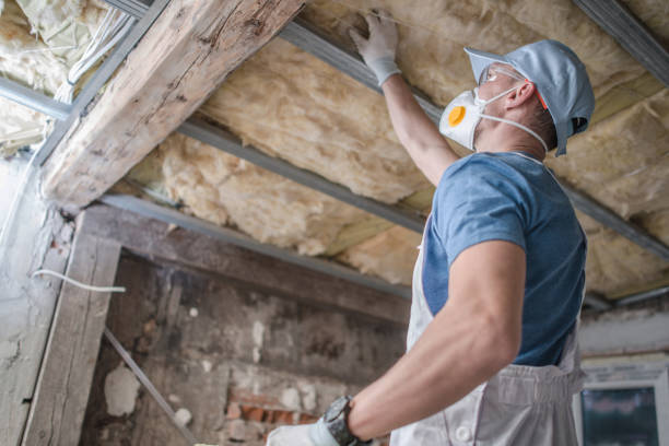 Best Insulation for Specific Applications in Cohoe, AK