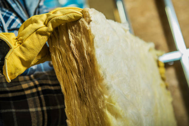 Best Types of Insulation in Cohoe, AK